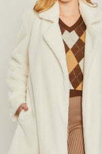 Woven Solid Teddy Collar Coat