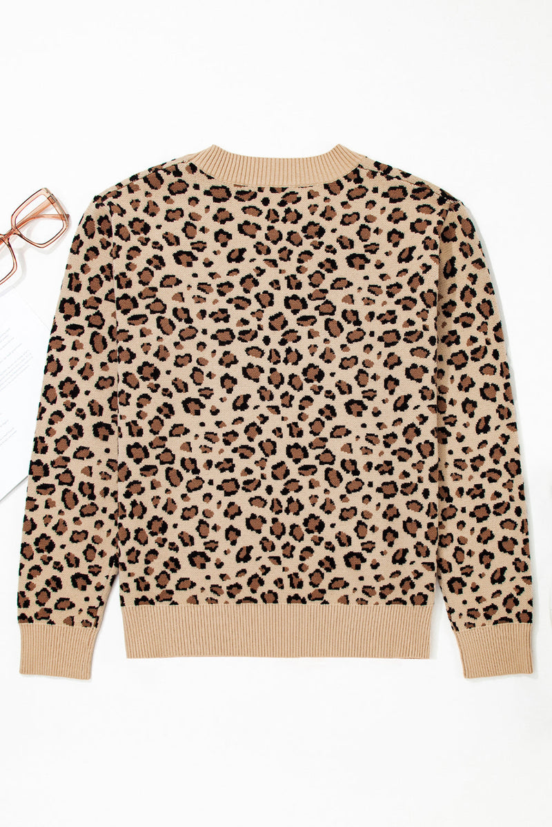 Isabela Print Dolman Sleeve Sweater