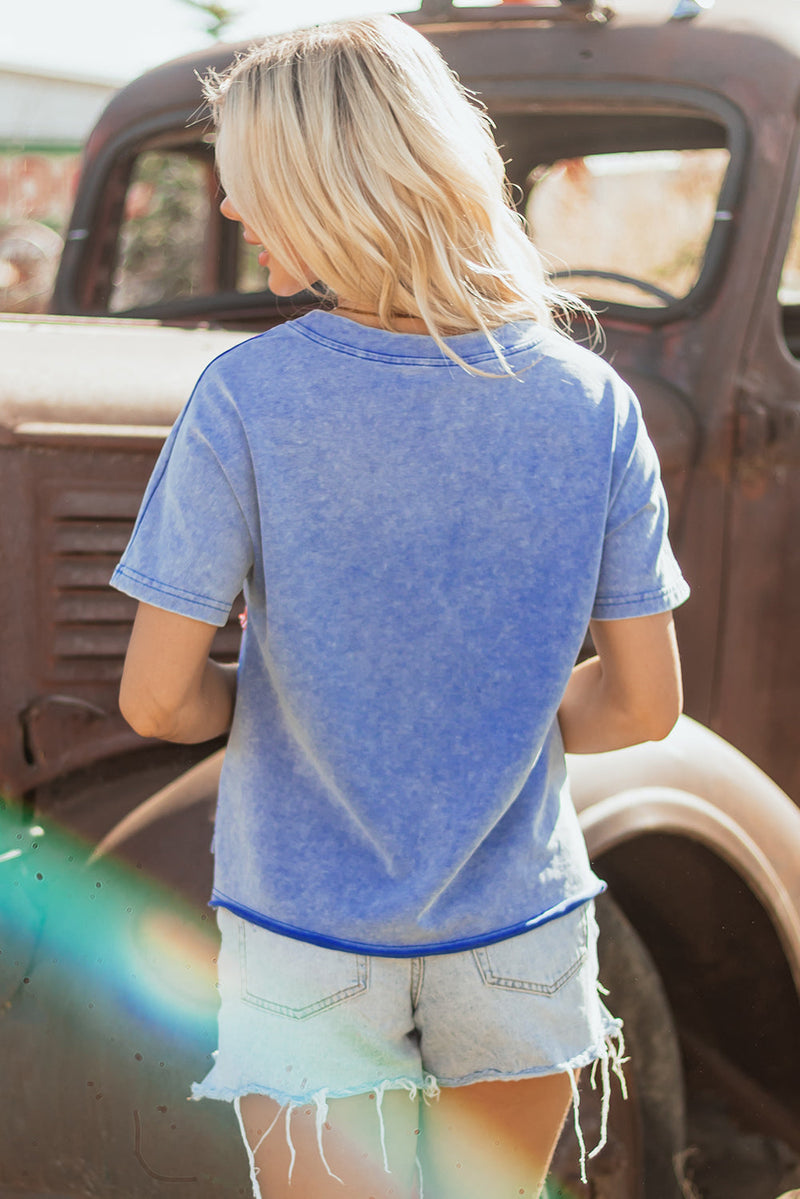 USA Patch Mineral Wash Vintage Graphic Top